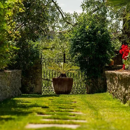 Apartment Palazzo Trevignane La Grande Cucina